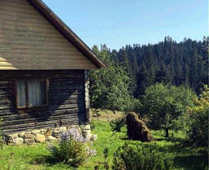 Оренда будинка в Карпатах, вид на гори,власний ставок - ferma_zatyshna