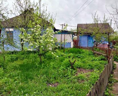 Будинок в с.Селичівка Київська область від власника