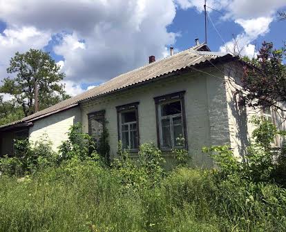 Продам будинок Барахти 30км від Києва у тихому місці 25+35сот землі