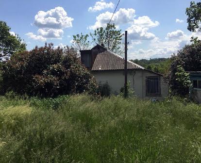 Продам будинок Барахти 30км від Києва у тихому місці 25+35сот землі
