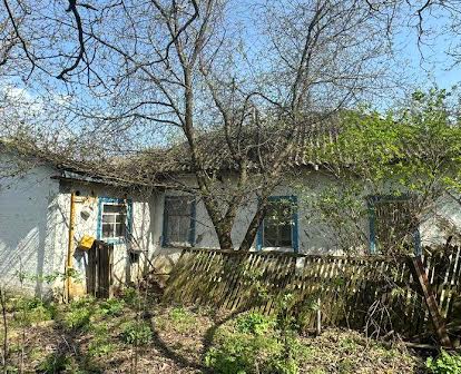 Продам будинок з гарною земельною ділянкою смт В.Димерка
