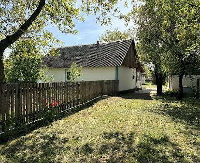 Продаж будинку в селі Романівка Романівського району Житомирської обл