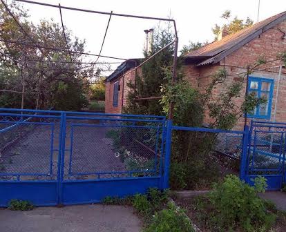 Будинок в селі Соколівка