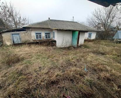 Продам будинок в селі Велика Вільшанка