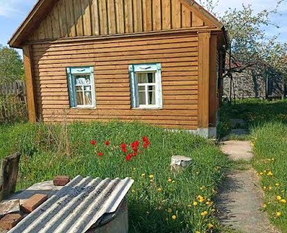 Продается дом и участок, село Олешня Черниговской области