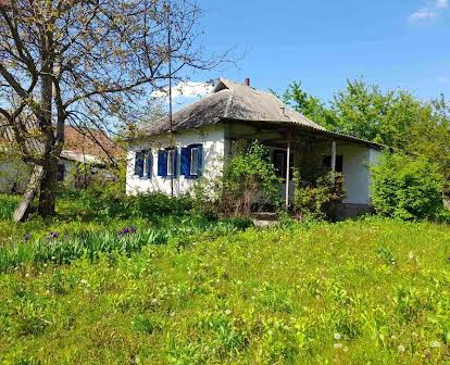 Продам будинок в селі Яхники, Миргородський район, Полтавська область