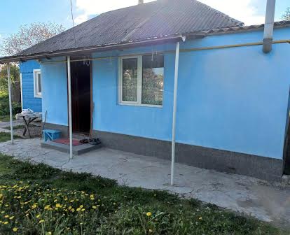 Продам будинок село Сеньківка, Бориспільський район.