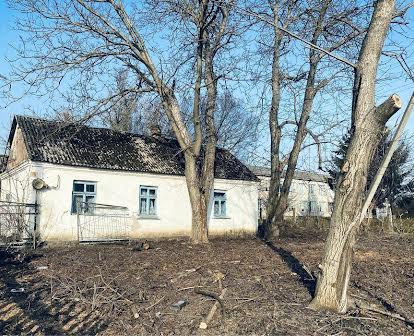 Продам хату-господарство в центрі села,Луцький район
