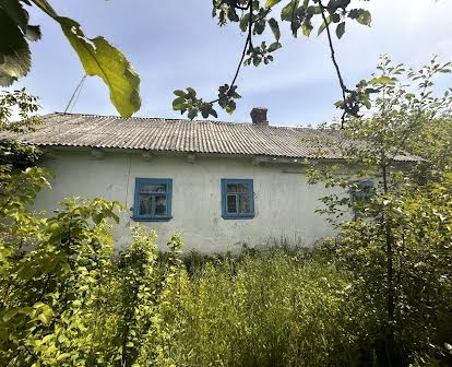 Будинок в селі сморжів