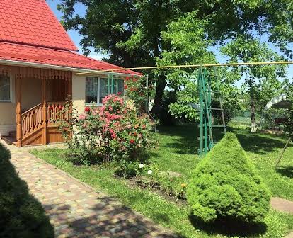 Затишний будинок з землею в Миргороді