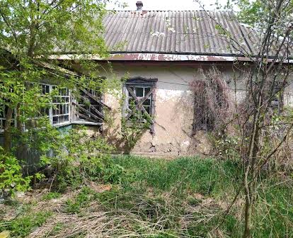 Продам будинок в селі  Вільшанська Новоселиця 60 соток