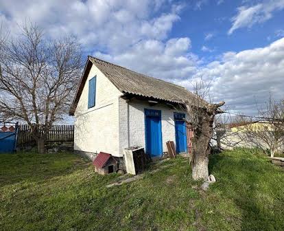 Продаж будинку в селі Фастівка з газом