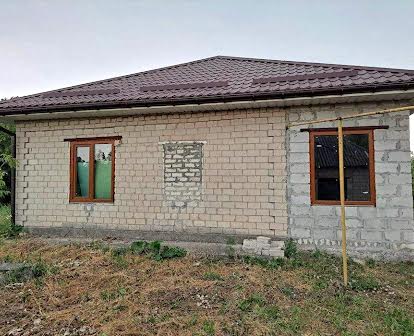 Продам приватний будинок в селищі Петриківка