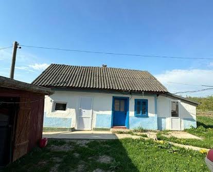 Будинок в селі Топорівці