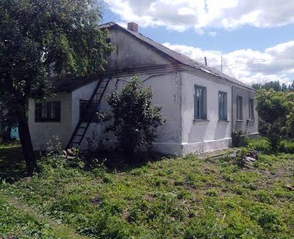 Житловий будинок в центрі с. Привітне ( Локачинського) Володимирського