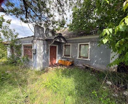 Продам дом в Терновке с участком 20 соток