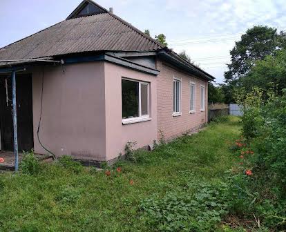 Дом с участком возле Днепра, 150 км от Киева 24 000$ (возможен торг)