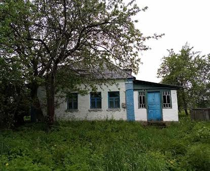 Будинок 70 км від Києва