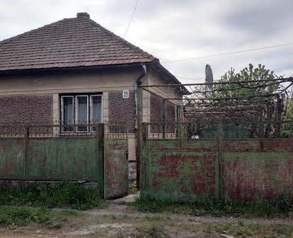 Продається будинок м.Берегово вул.Тургенева