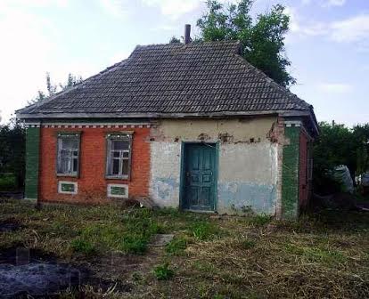Дача Дом в 10 км от г. Миргорода с участком 40 соток земли