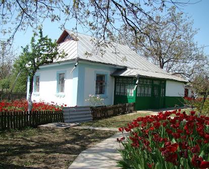 Продам будинок в центрі селища Чечельник