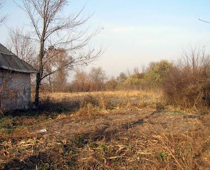 С. Евминка, участок под застройку, со старым домом, 60 км от Киева
