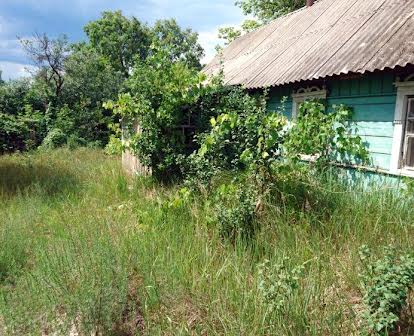 Дом из деревянного бруса+(25 соток), с газом в 99 км.от Киева.