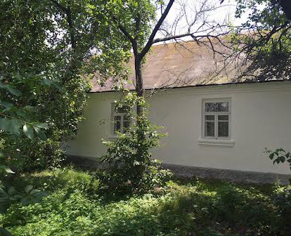 Продаж будинку та земельної ділянки 50 соток, місто Берестечко