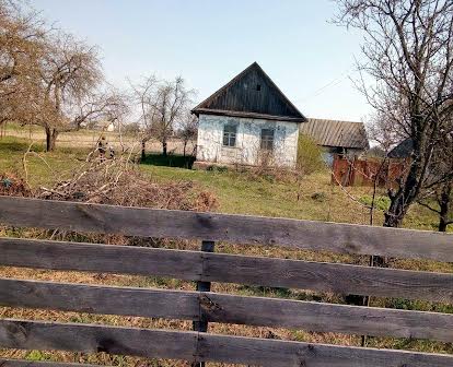 Продам дом в селе Осычки