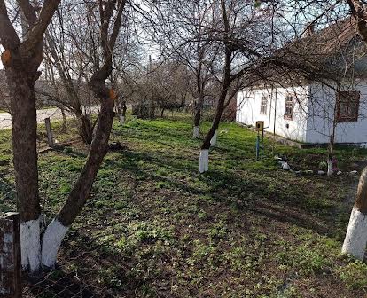 Продам будинок в селі Могиляни