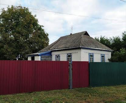 Продам будинок в селі Черняхівка