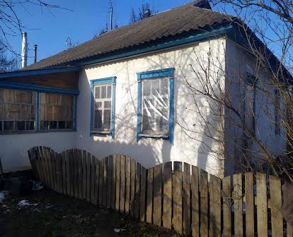 Продається будинок в селі Ревне, 46 соток