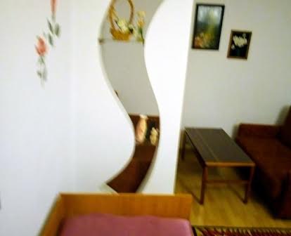 Уютная 1-комнатная квартира в Трускавце