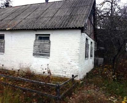 Продаж будинку в селі. Усолуси, Житомирська область