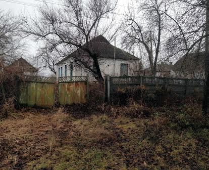 Продам будинок село Насташка Київська область, білоцерківський район