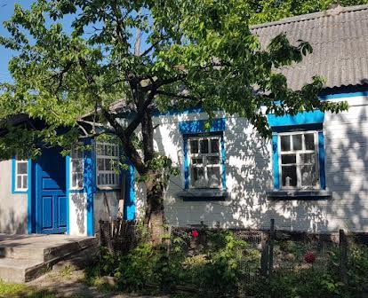 Продам будинок в селі Гарбузин Корсунь-Шевченківського району