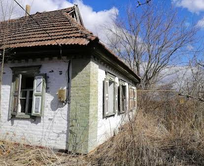 Дача дом в 10 км от г. Миргород с участком 40 соток (0,40 га) земли