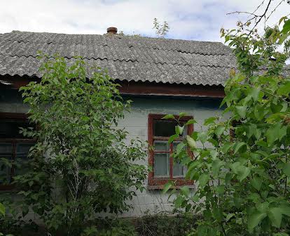 продається будинок з надвірними прибудовами в с.Сальково
