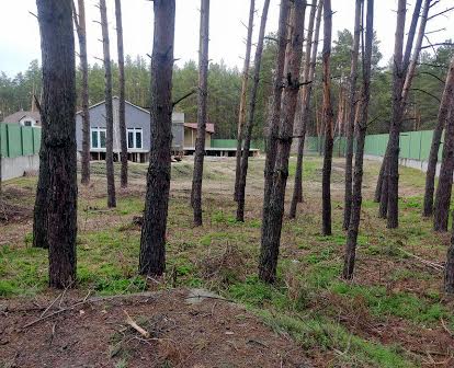 Продам шикарный дом с большим участком лес Днепр Кедына гора