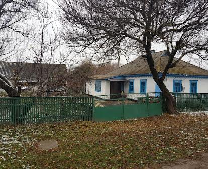 Продам будинок, житло, оселя смт. Велика Багачка, Полтавська область