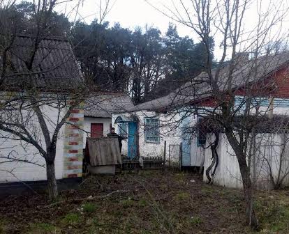 Продам Будинок з надвірними спорудами у селі Бодячів
