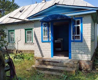 Продам дом в Черниговской области