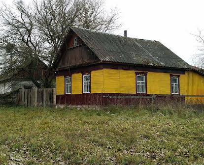Продаж будинку в селі Гвоздиківка