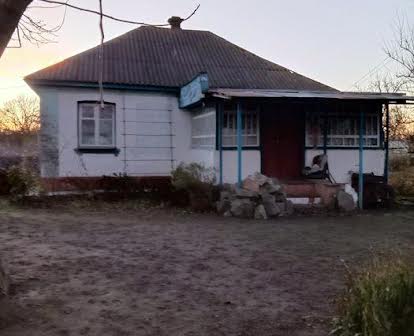 Продается дом Черниговская область