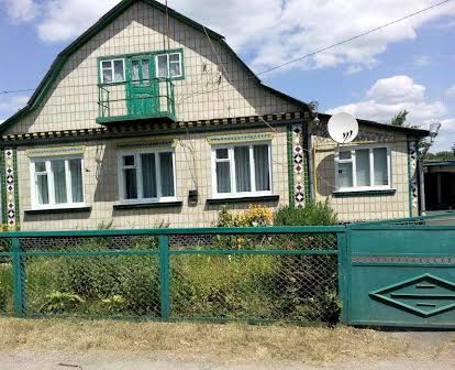приватний будинок з подвірям, Житомирська область