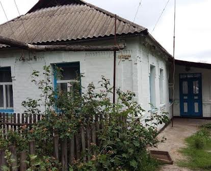Продам будинок с.Домантівка( 4 км. від м.Сквира)