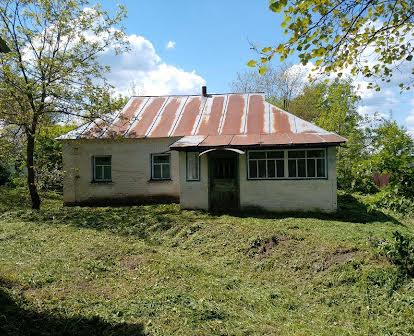 Продам будинок в с.Нова Басань Чернігівської області.