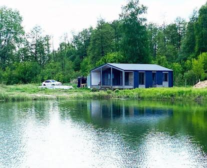 Продаж будинку на березі озера в Н. Дубечня. Без комісії.