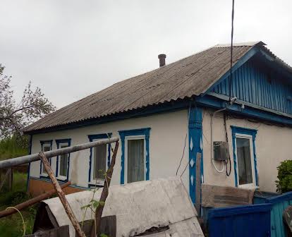 Продається будинок в с. Новоселиця
