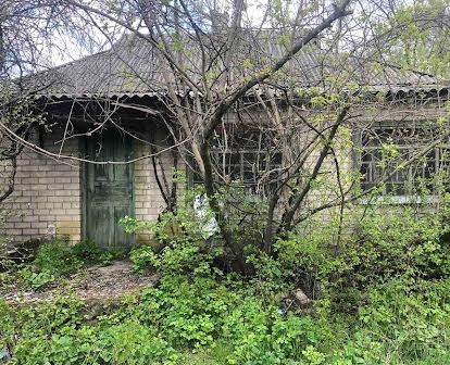 Продам дом+огород 50соток шандровка(днепропетровская область)